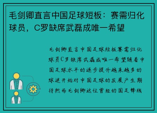 毛剑卿直言中国足球短板：赛需归化球员，C罗缺席武磊成唯一希望