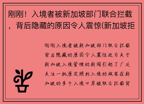 刚刚！入境者被新加坡部门联合拦截，背后隐藏的原因令人震惊(新加坡拒绝入境遣返申诉流程)