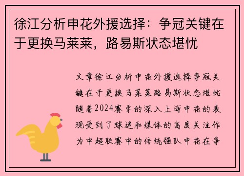 徐江分析申花外援选择：争冠关键在于更换马莱莱，路易斯状态堪忧